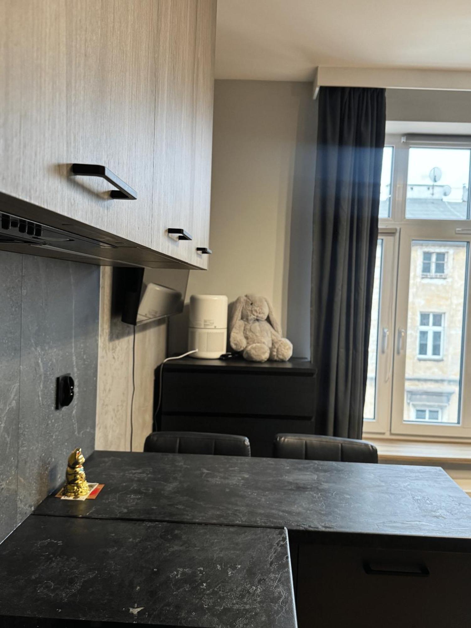 Elegant Studio Apartment, Kazimierz, คราคูฟ ภายนอก รูปภาพ